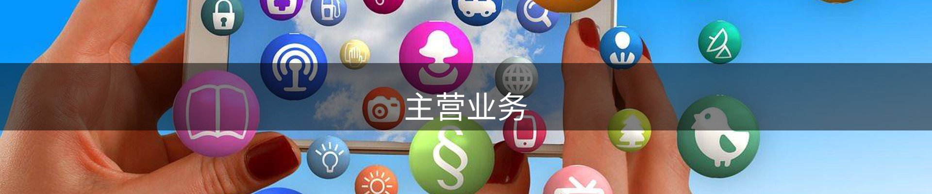 主营业务