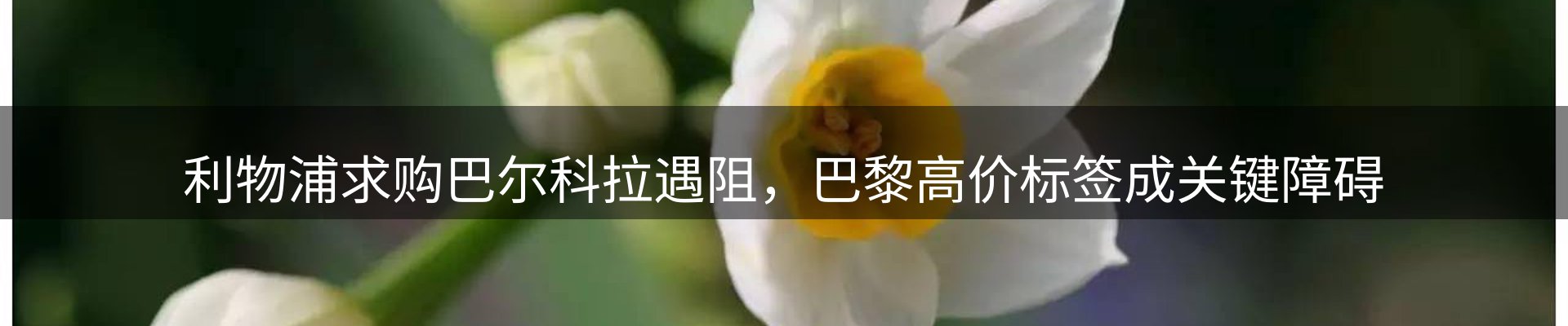今日资讯