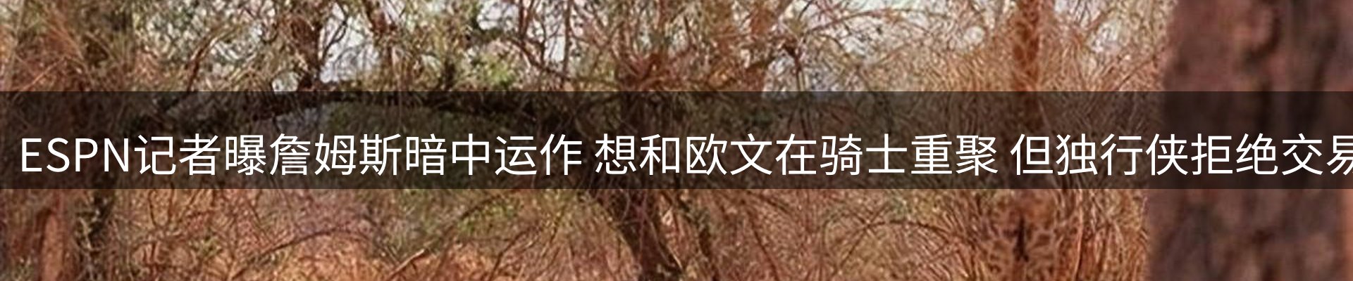 今日资讯